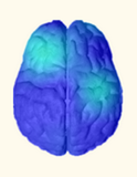 NeuralChek spline-map of electrical activity: a brain shaded deep blue, the app’s “State of maximum balance”.