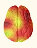 NeuralChek spline-map of electrical activity: a brain shaded orange and red, the app’s “Nervous overstrain” state.